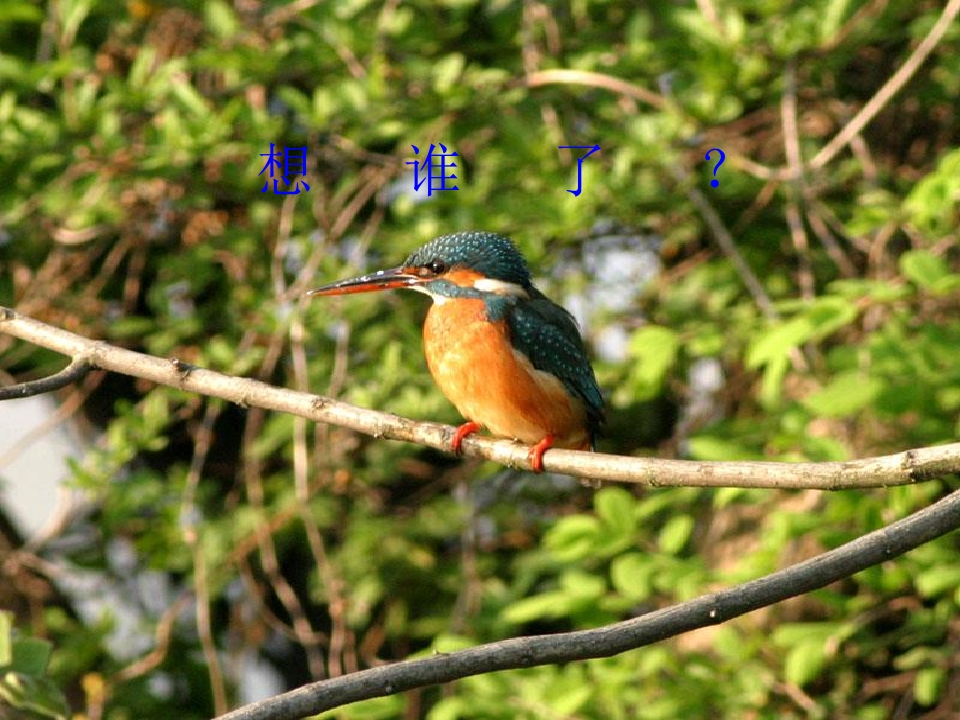 38.jpg
