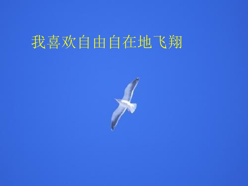 42.jpg