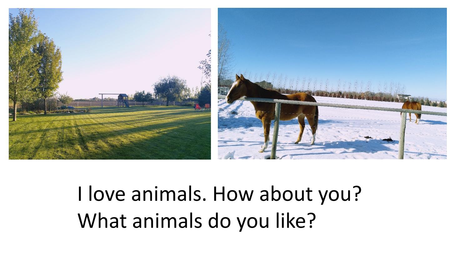 49.jpg