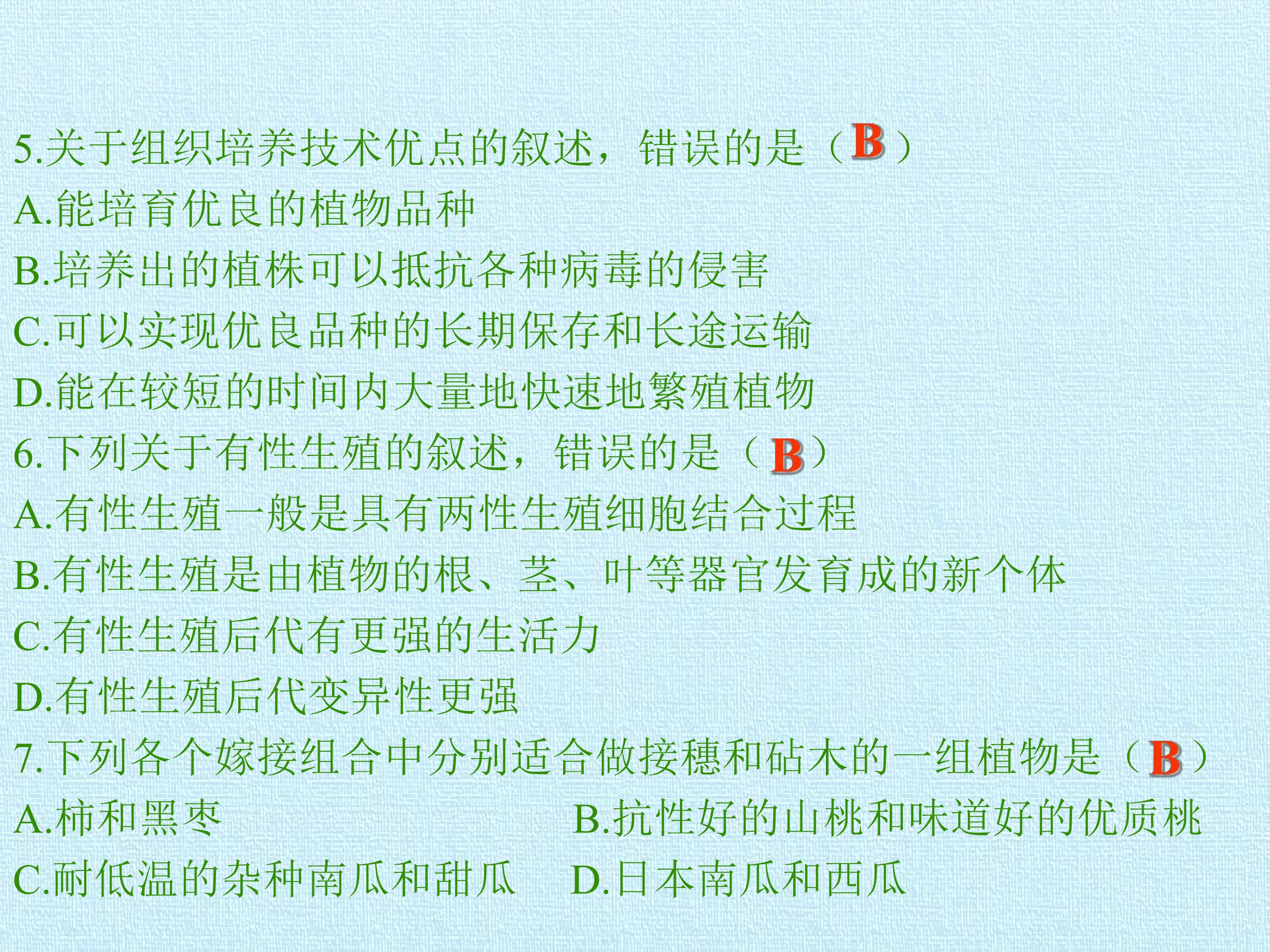 48.jpg
