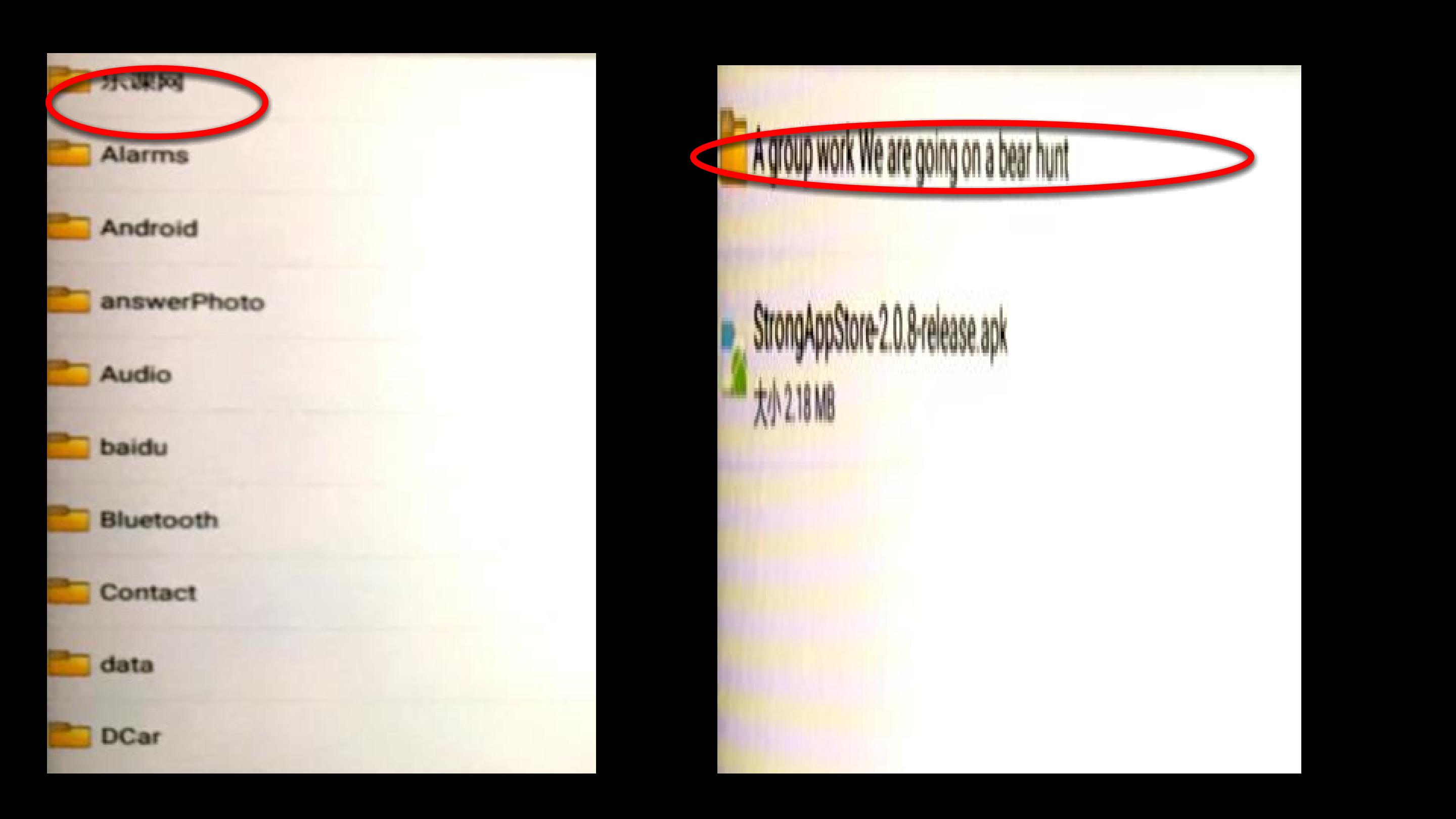 41.jpg