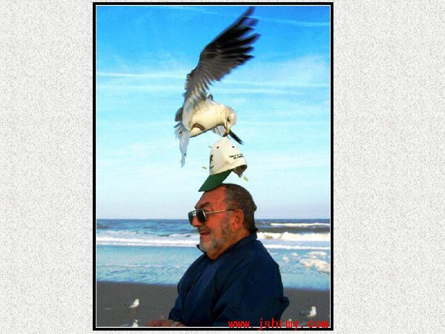 40.jpg