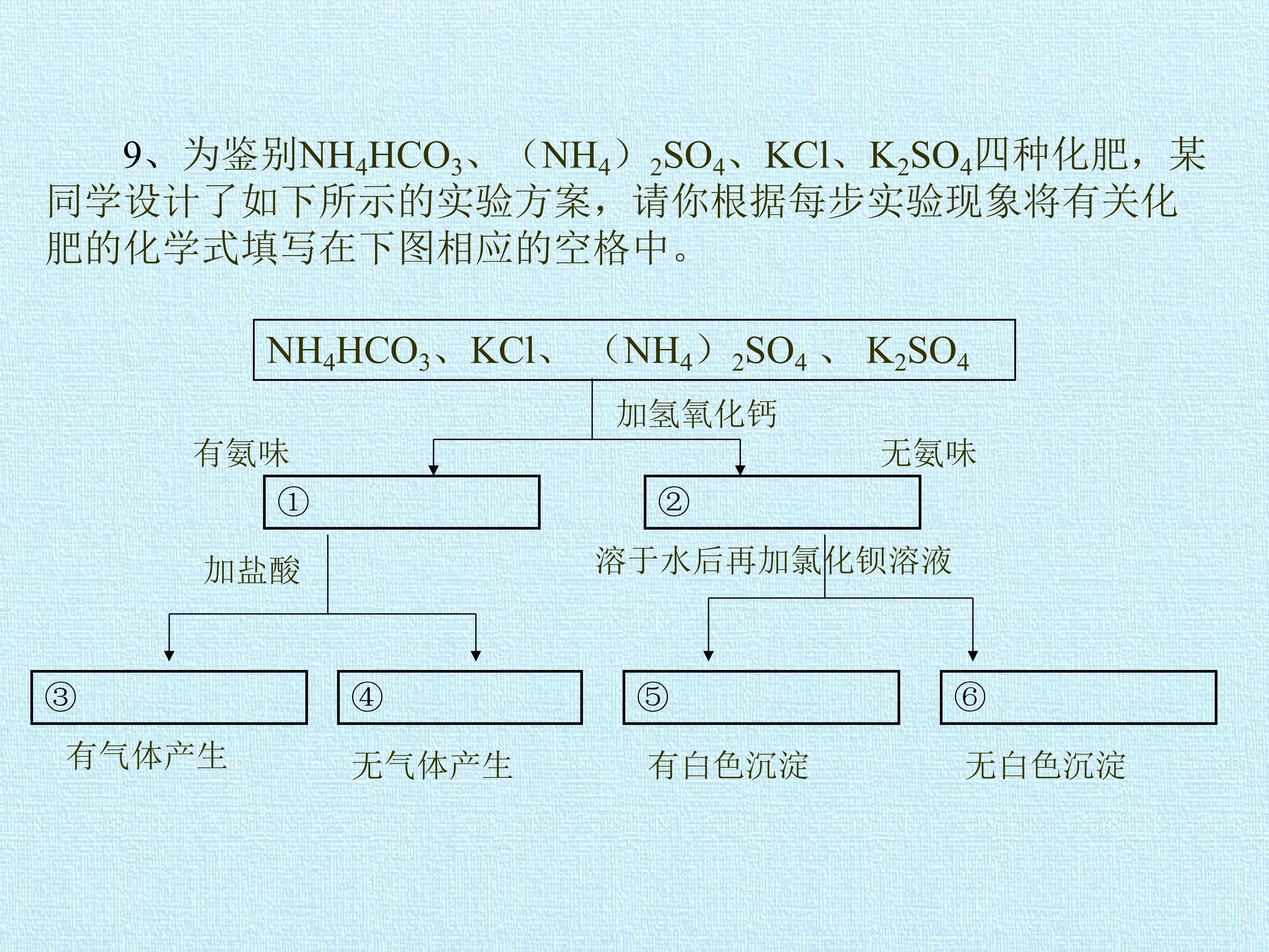 55.jpg