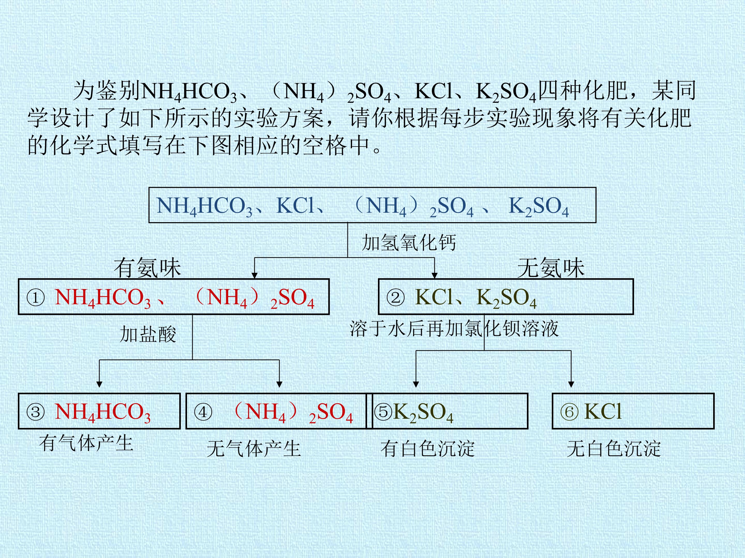 56.jpg