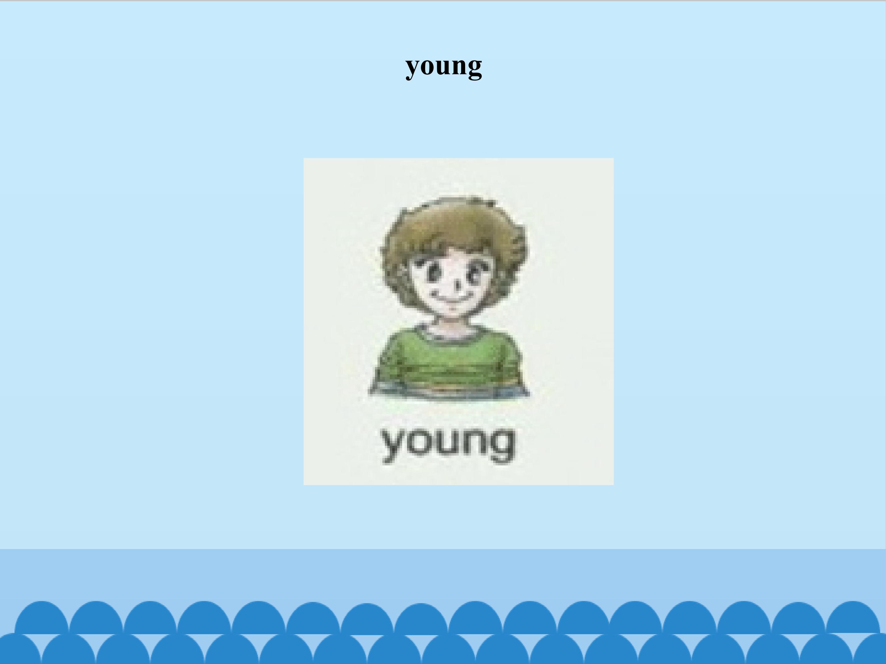 5.jpg