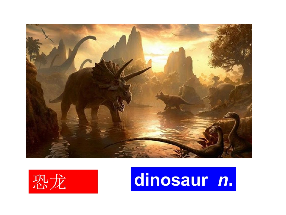 67.jpg