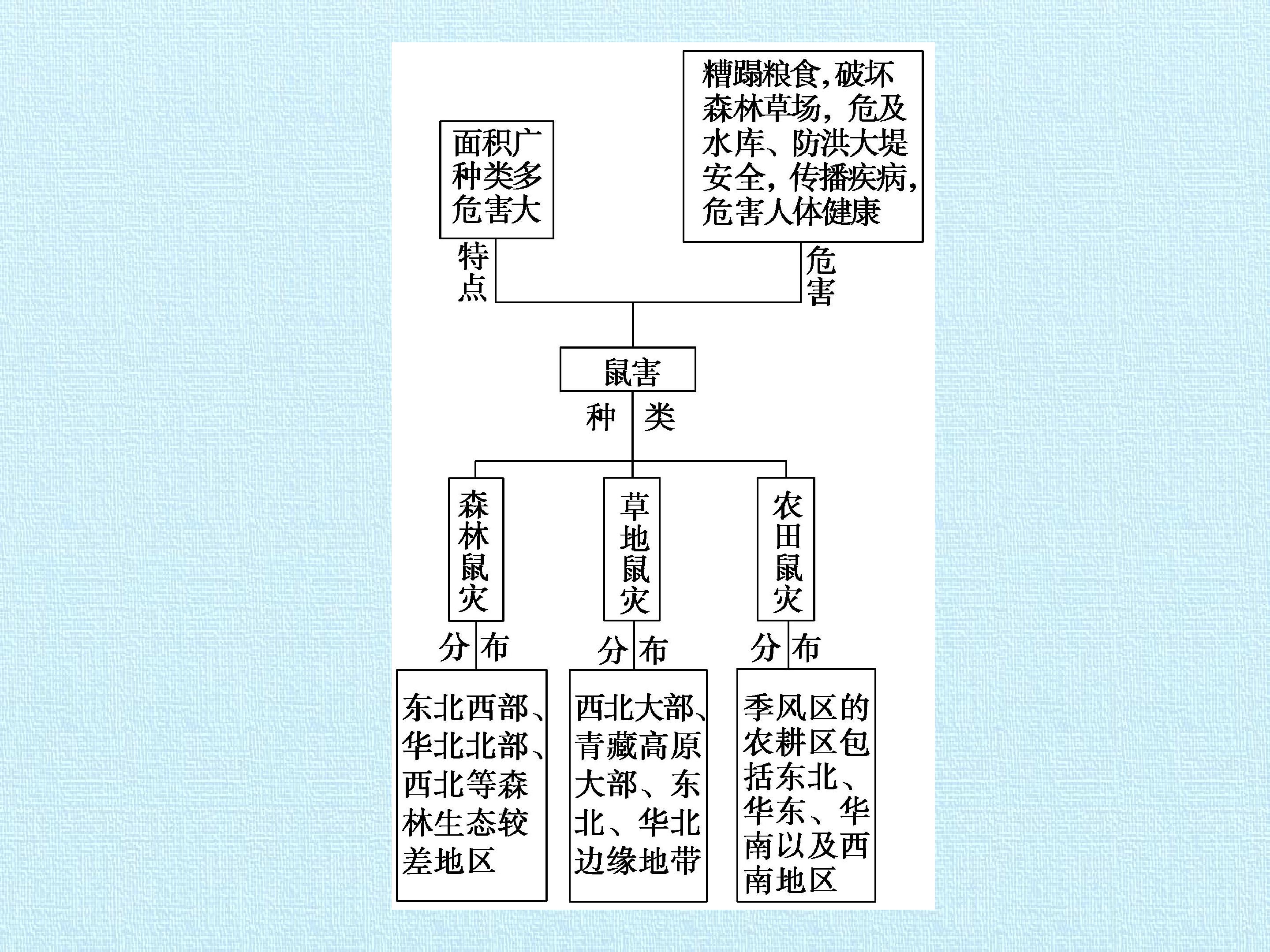 106.jpg