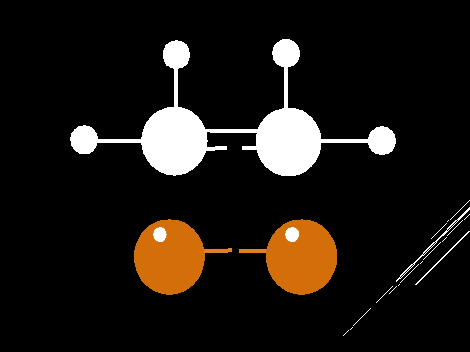 95.jpg