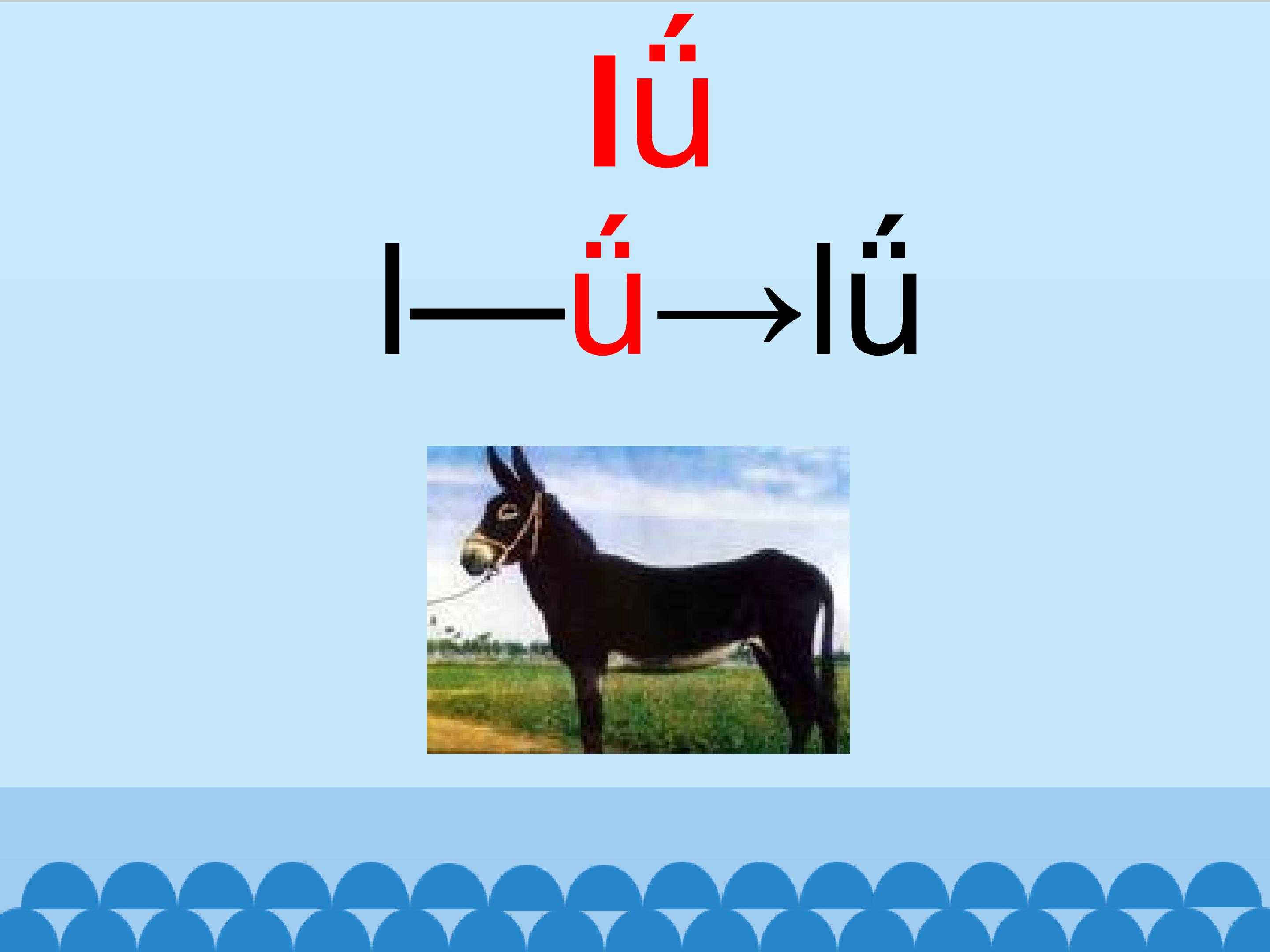 25.jpg