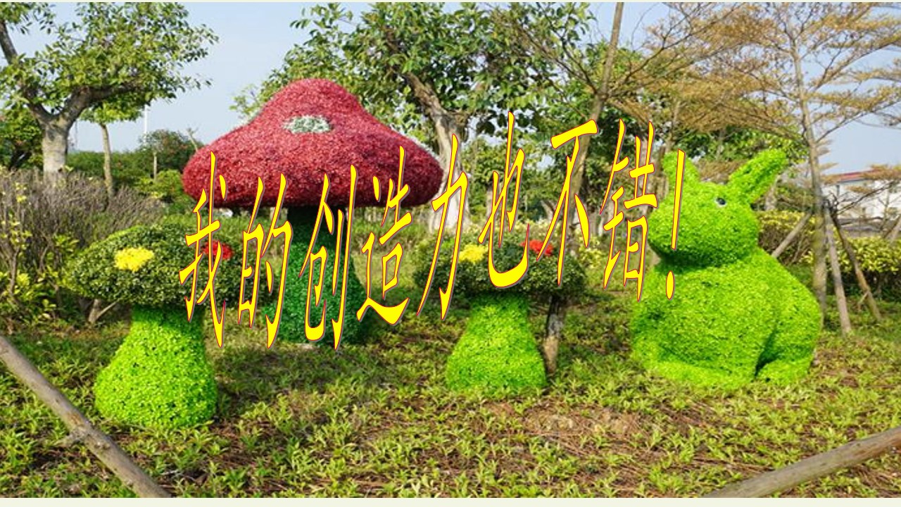 51.jpg