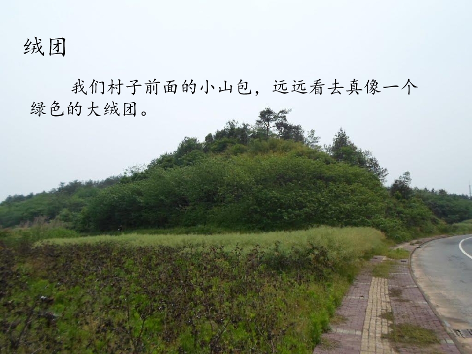 11.jpg