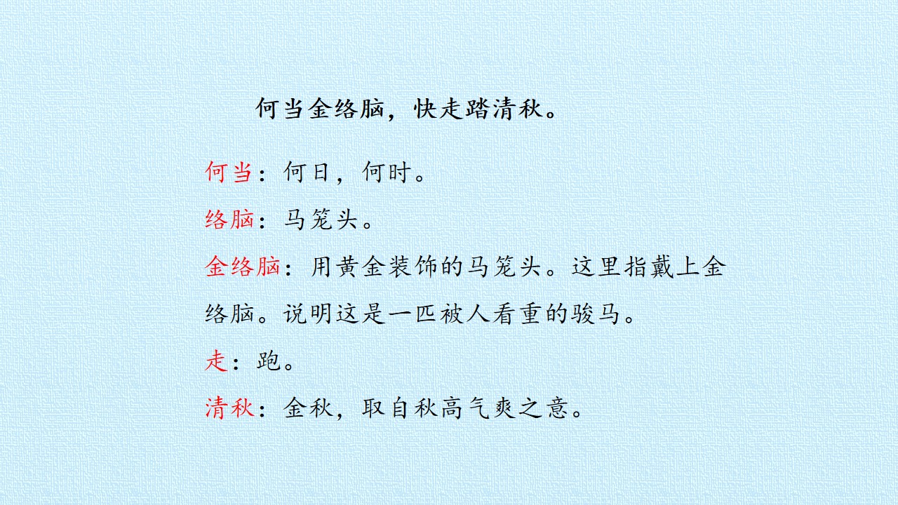 47.jpg