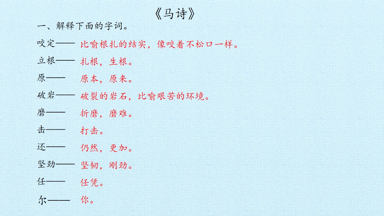 65.jpg