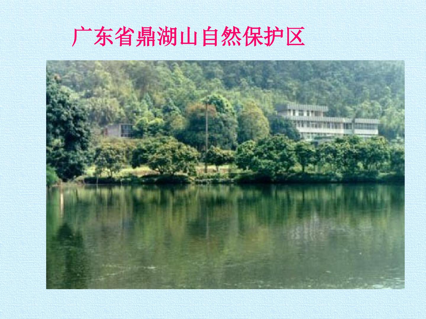 57.jpg