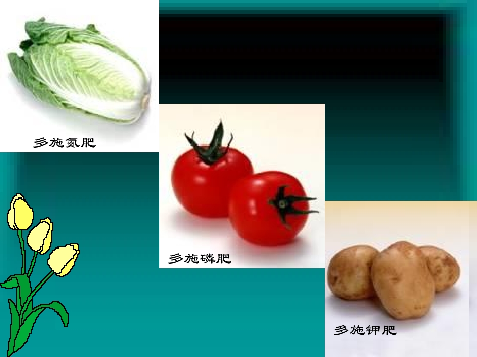 10.jpg