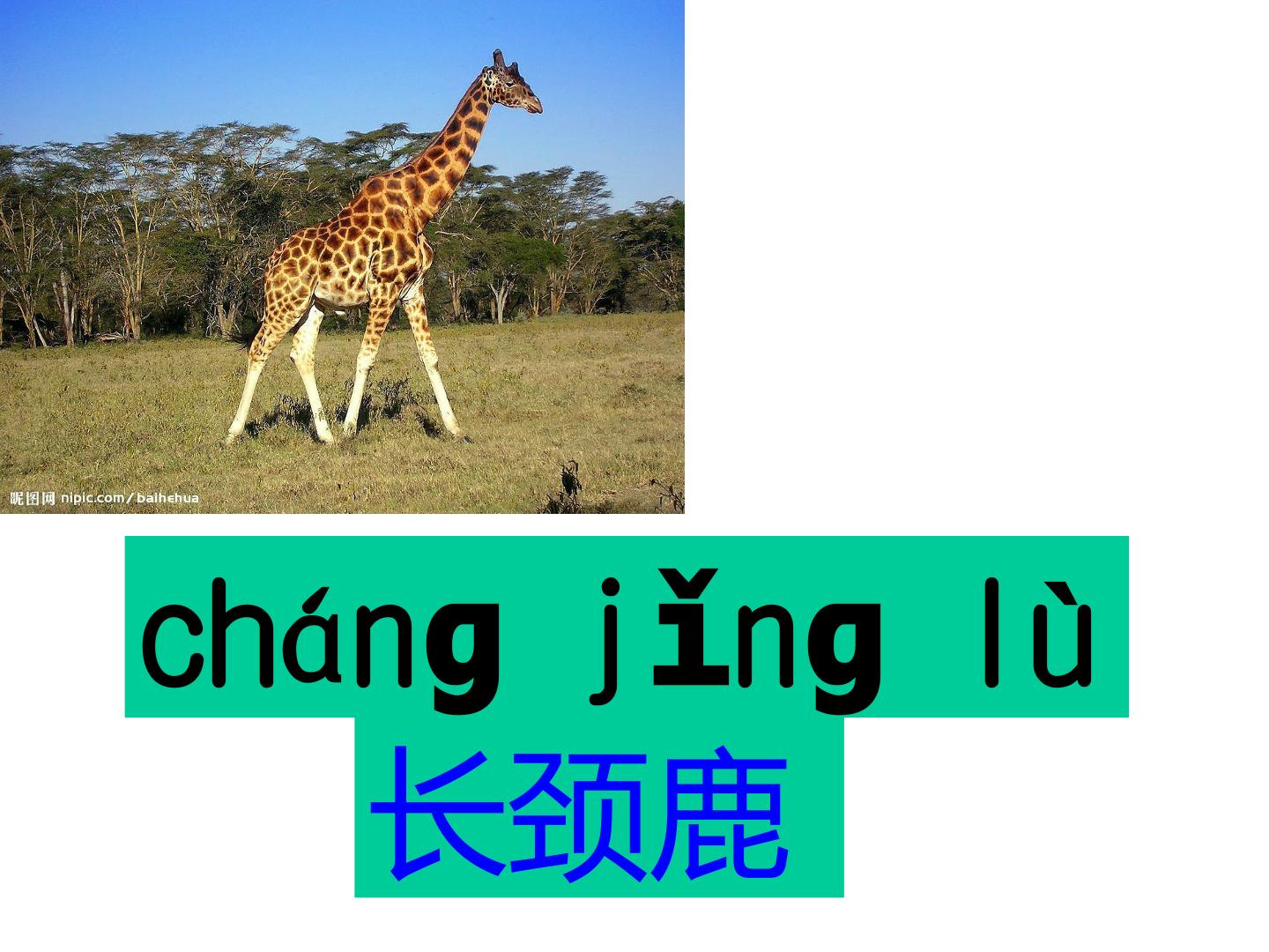 35.jpg