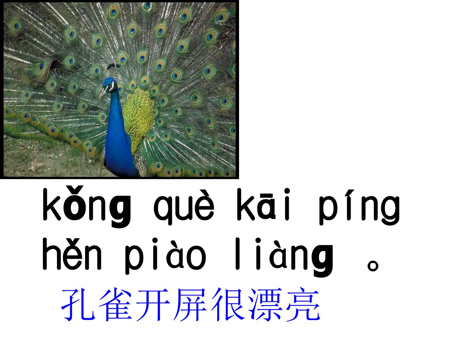 40.jpg