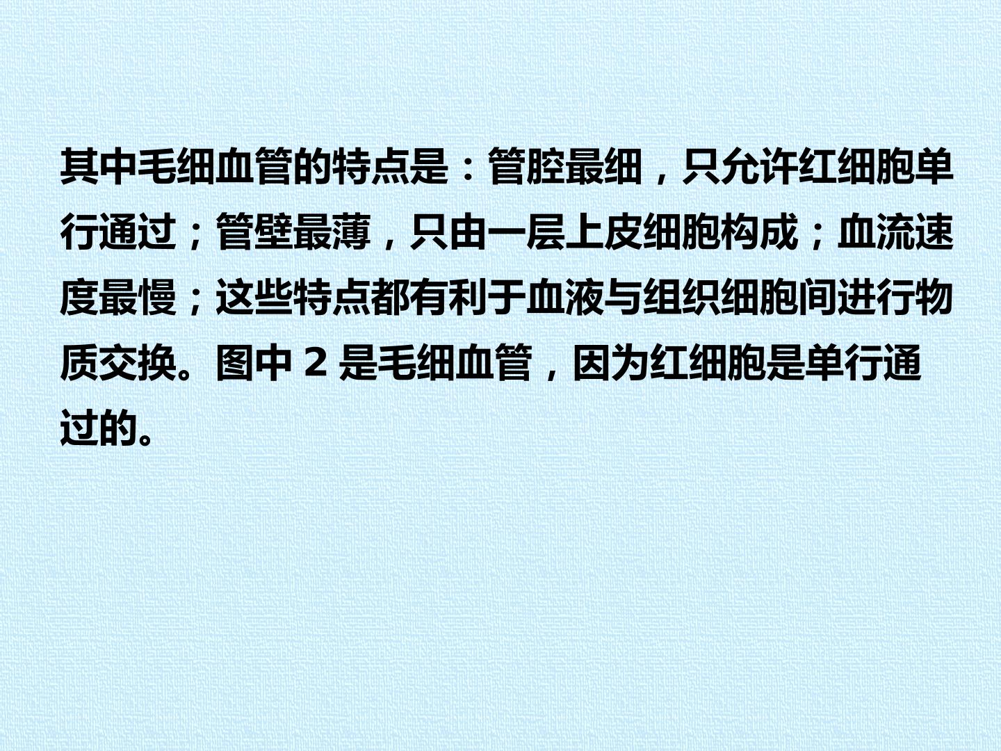 91.jpg