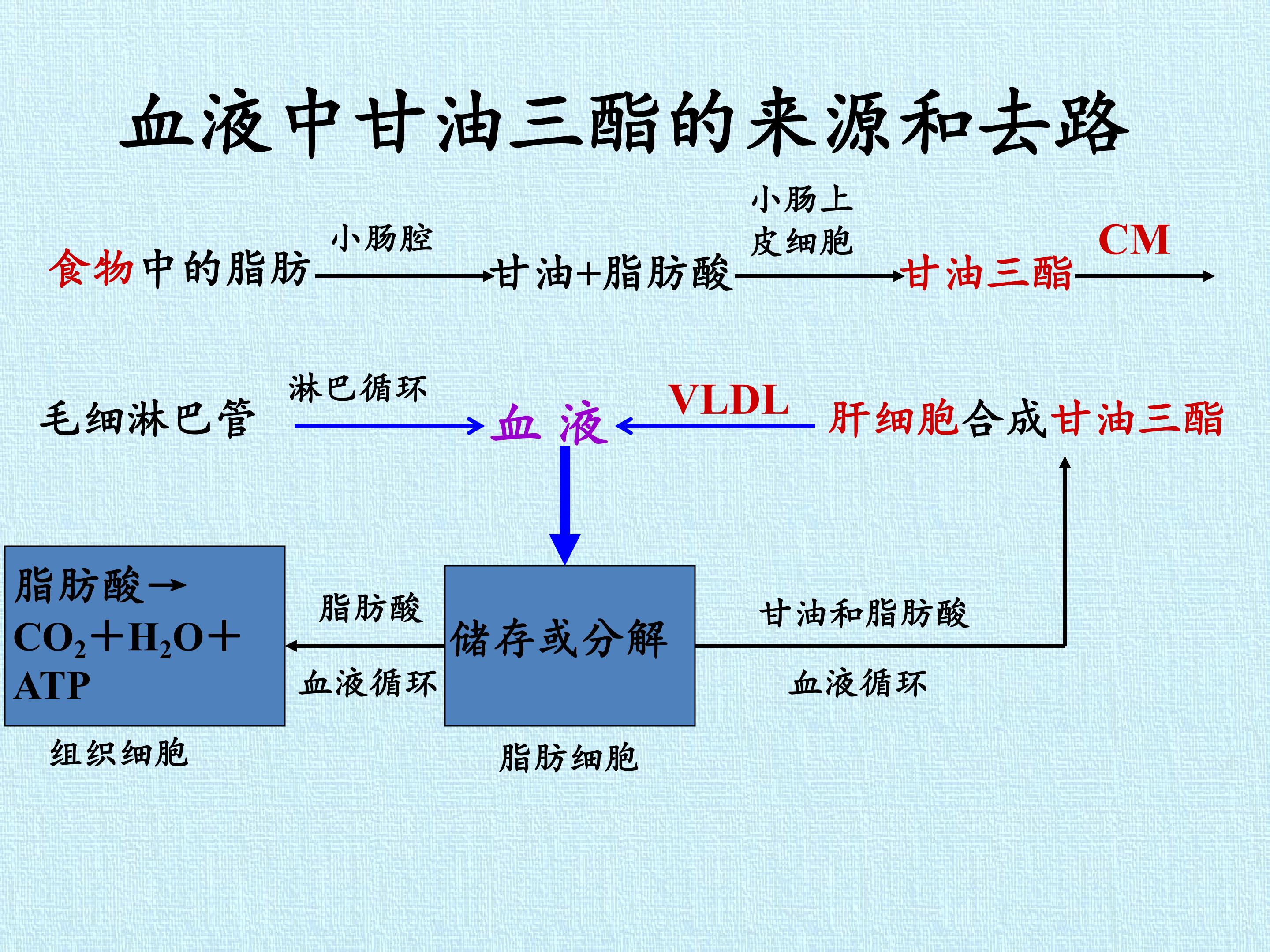 63.jpg