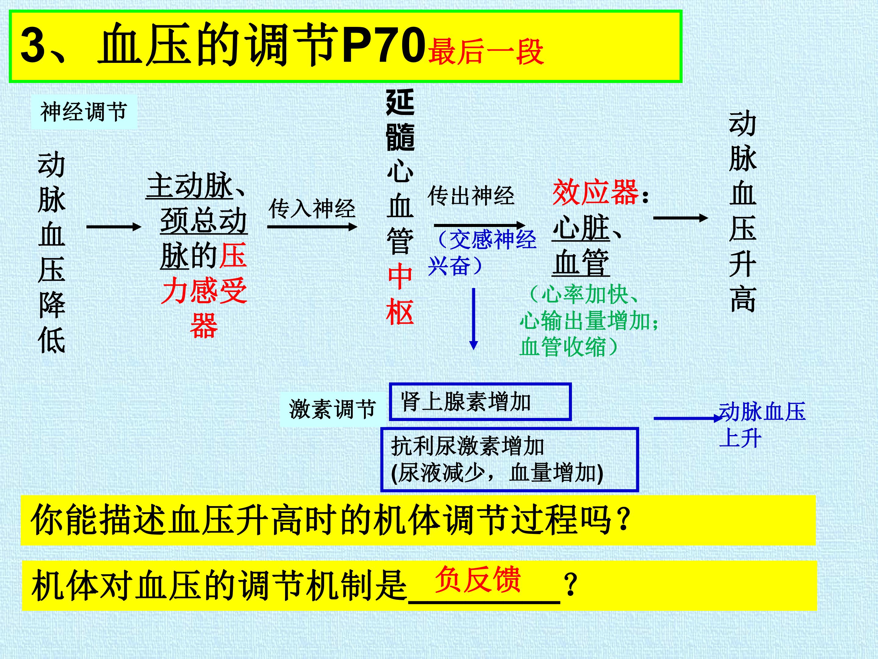 83.jpg