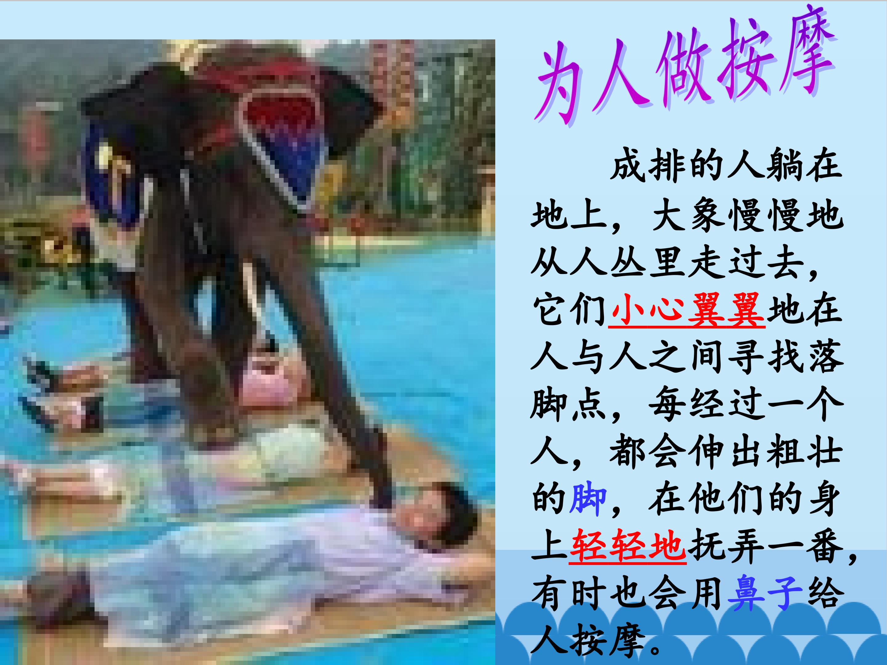 28.jpg