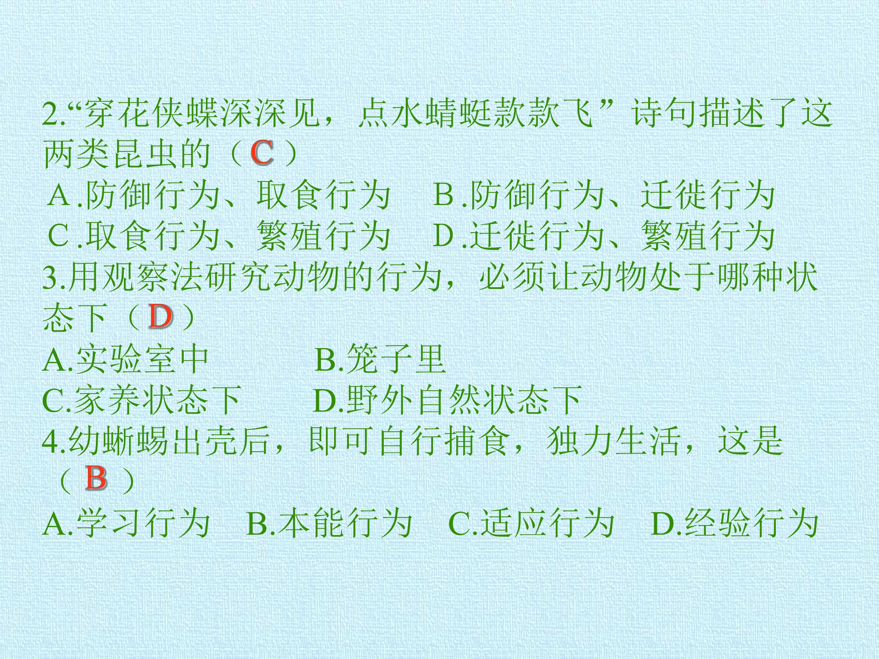 25.jpg
