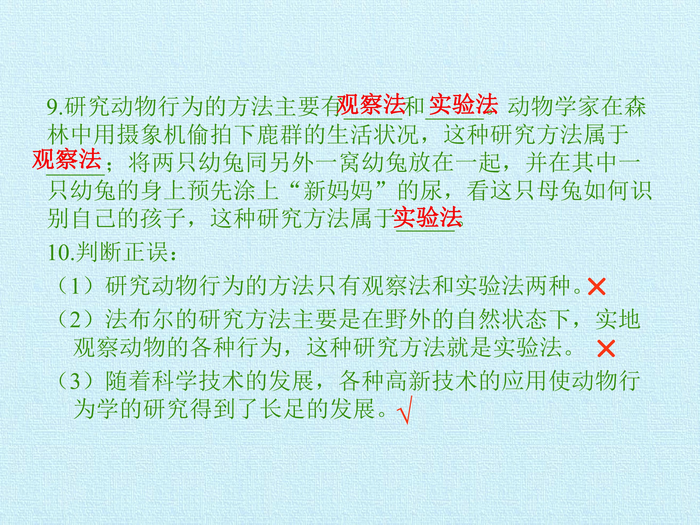 44.jpg
