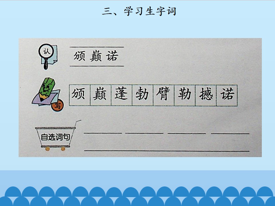 13.jpg