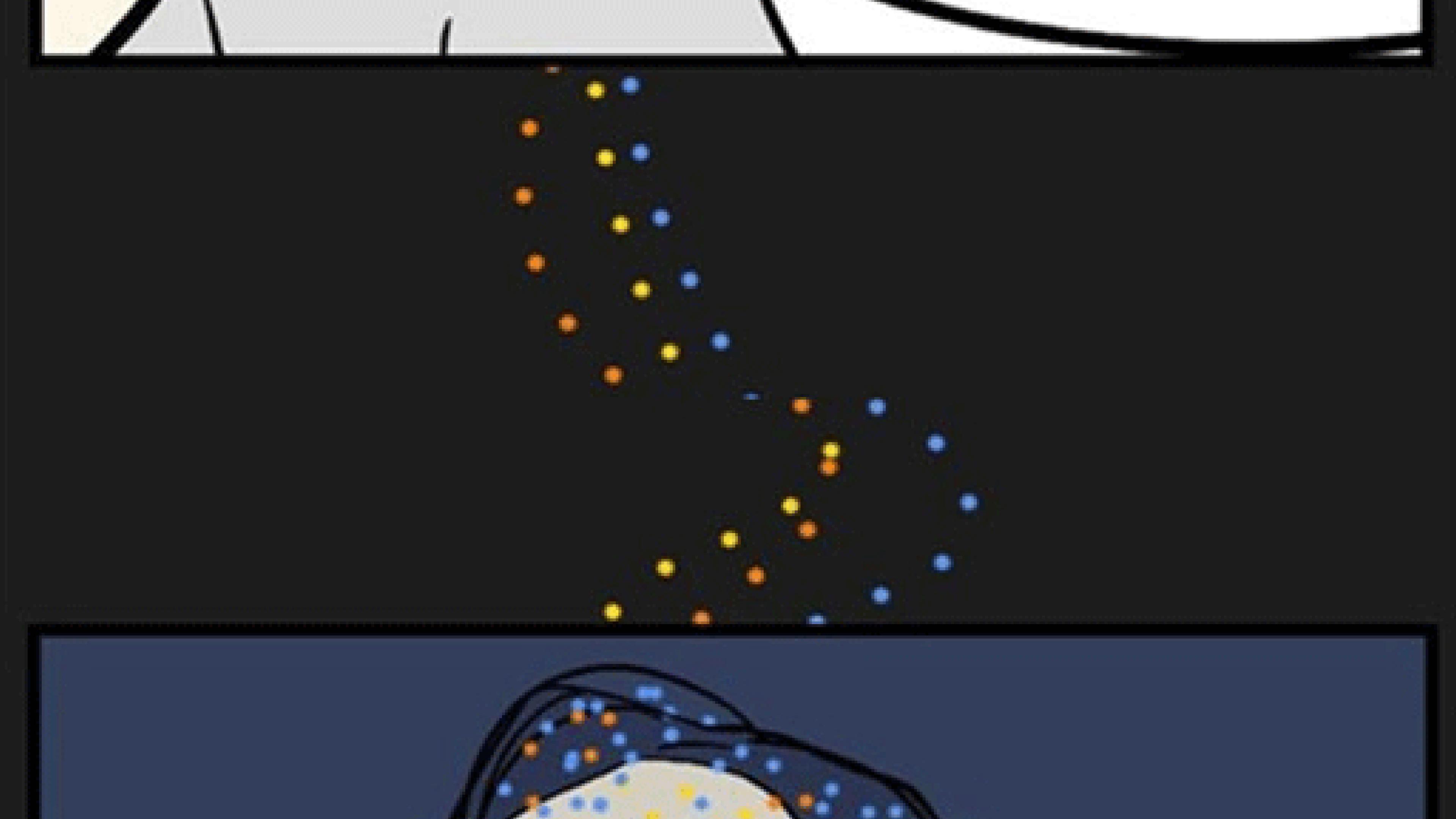 41.jpg