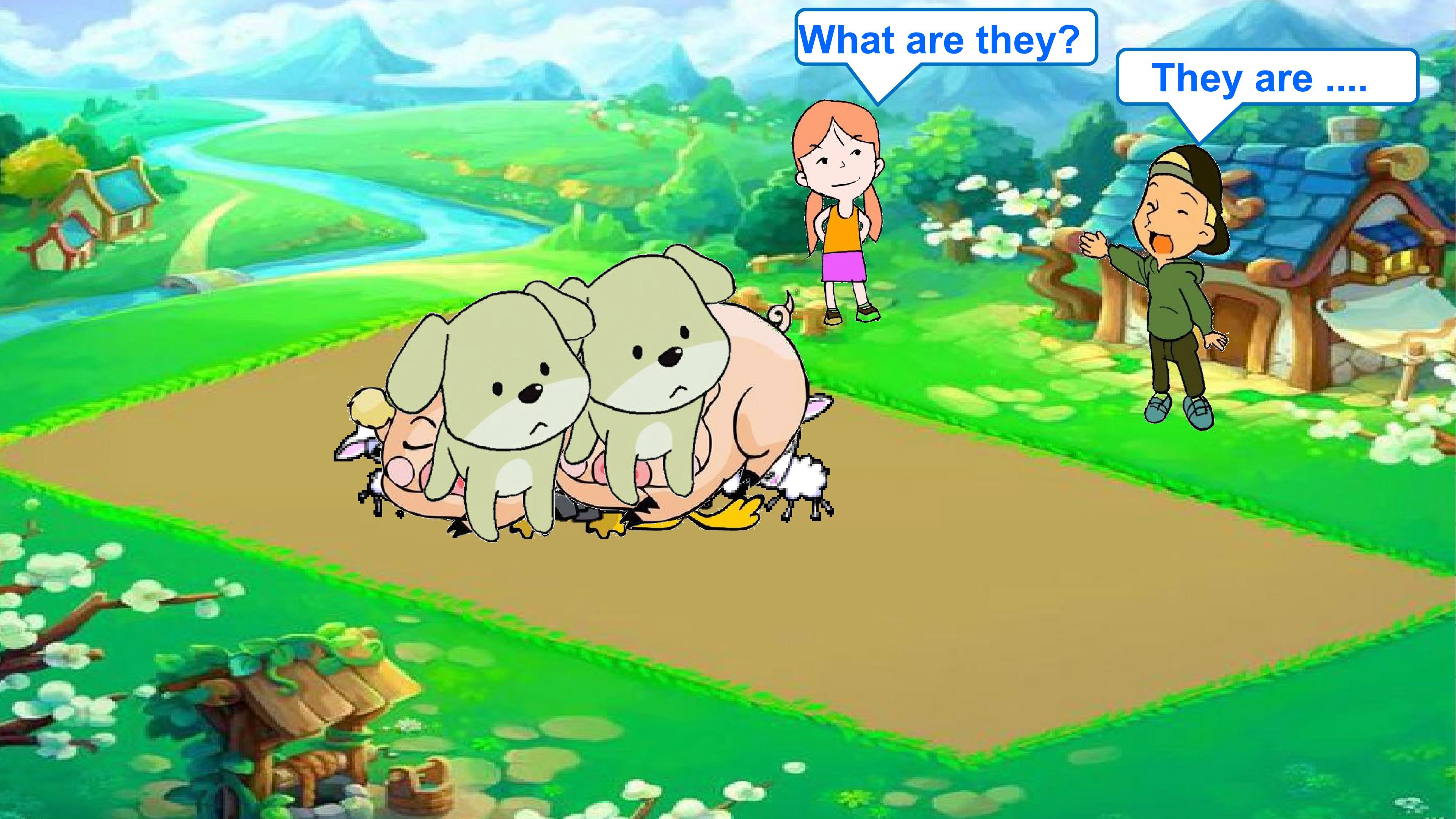 3.jpg
