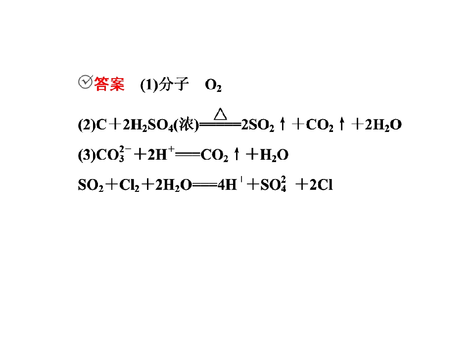95.jpg