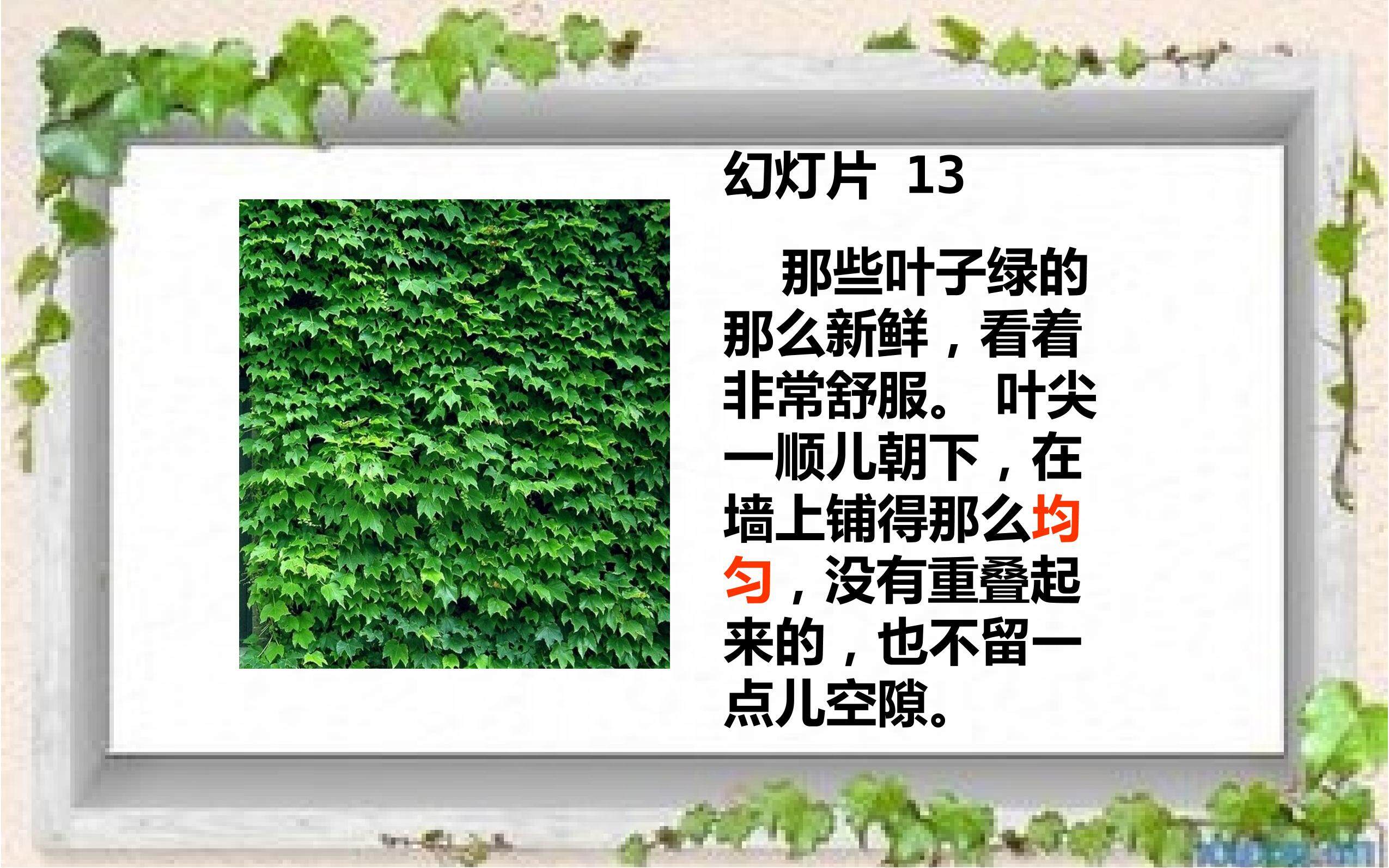 13