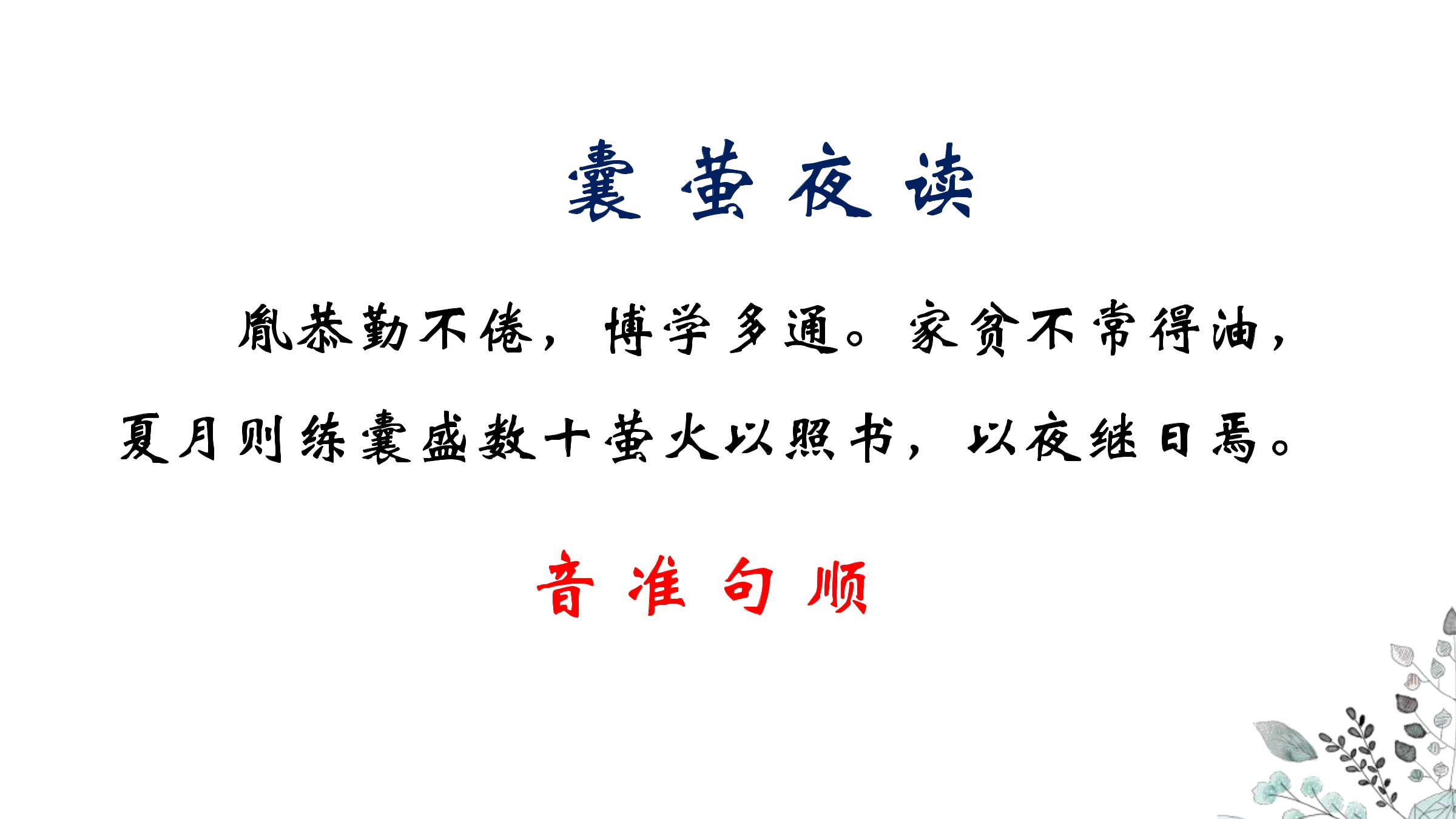 3