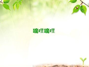 嘀哩嘀哩_课件1