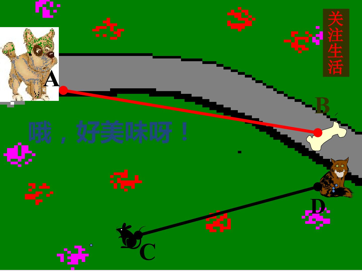 14.jpg