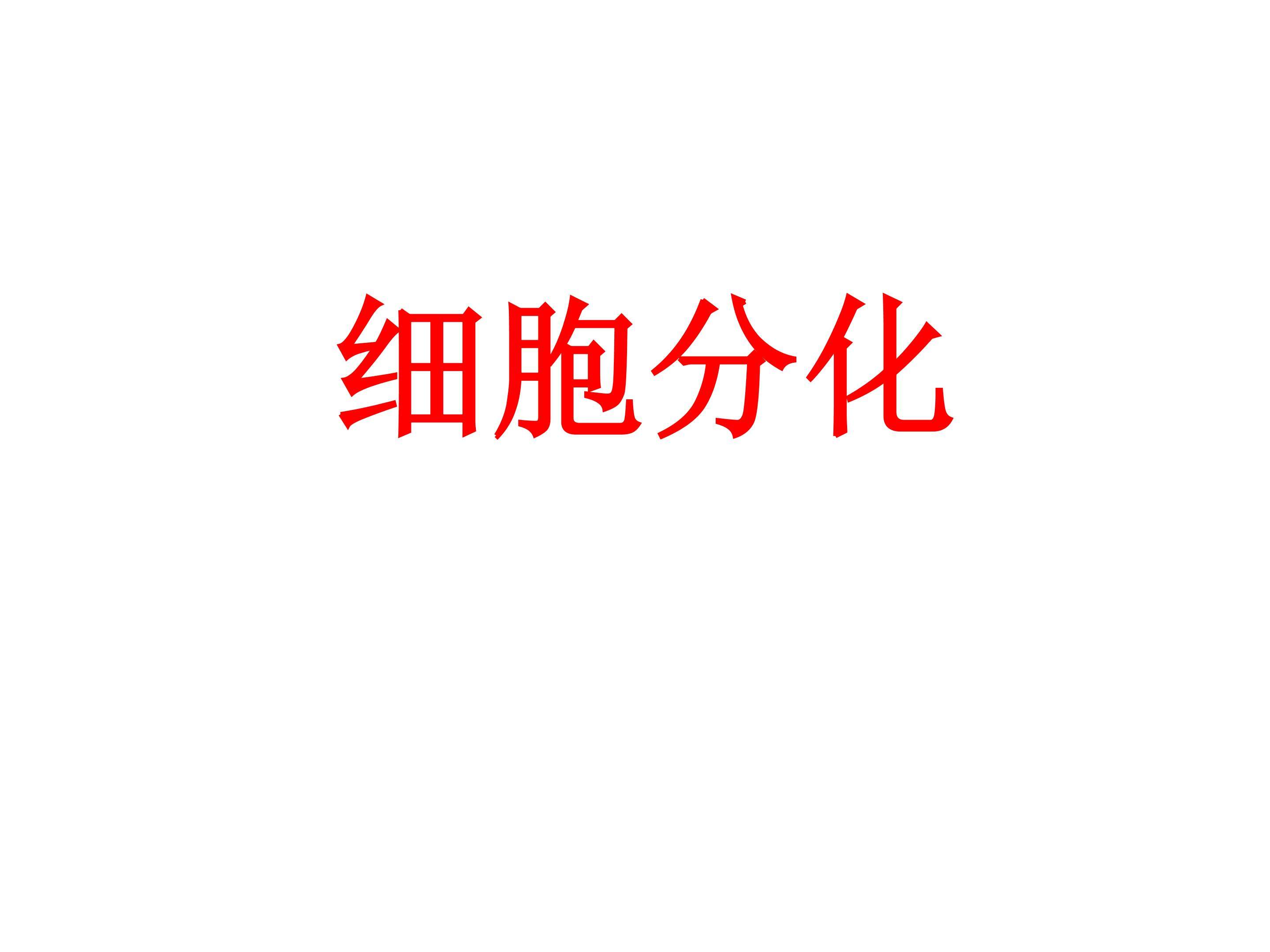 细胞分化_课件1