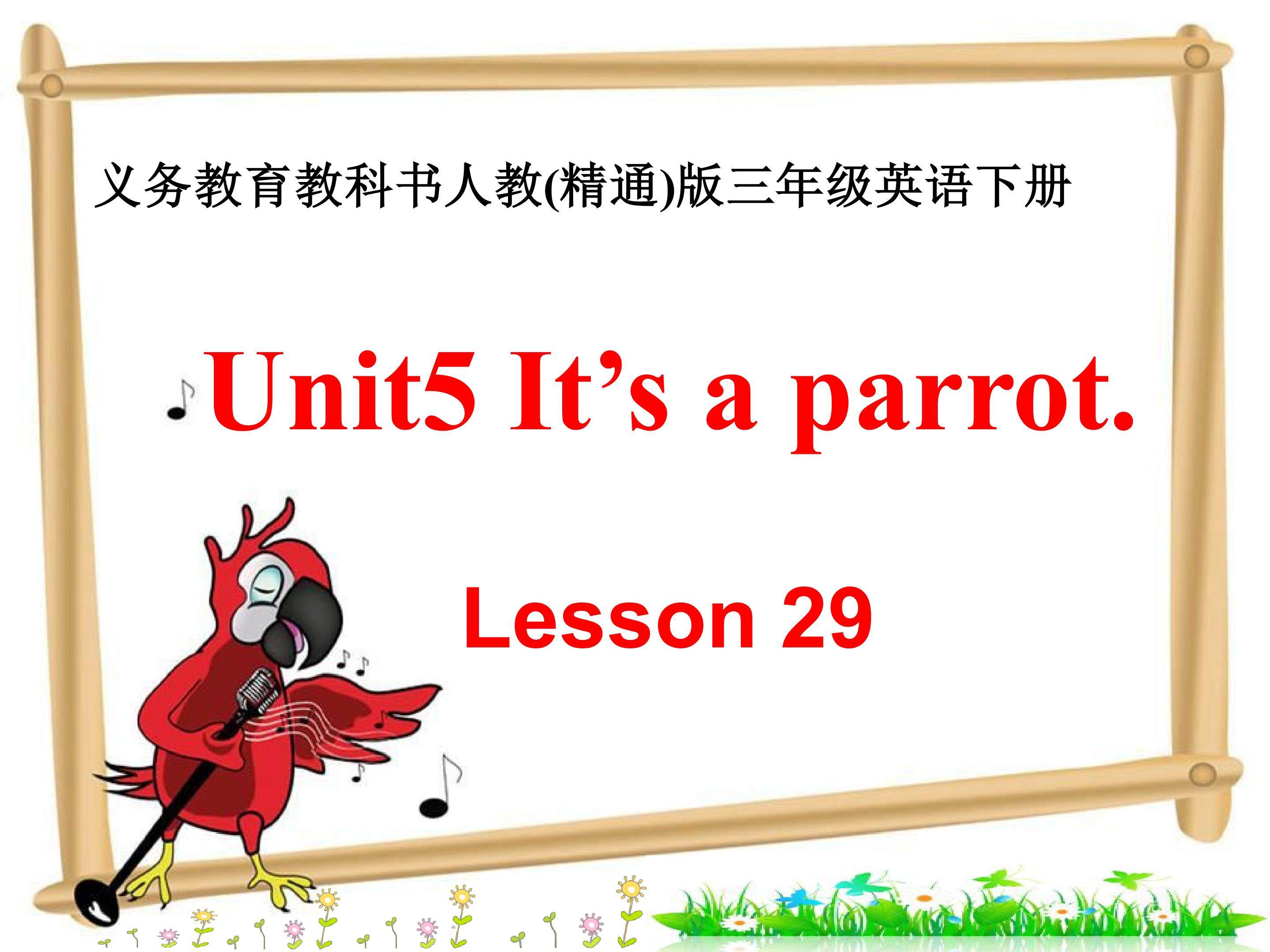 Unit 5 It's a parrot. Lesson29