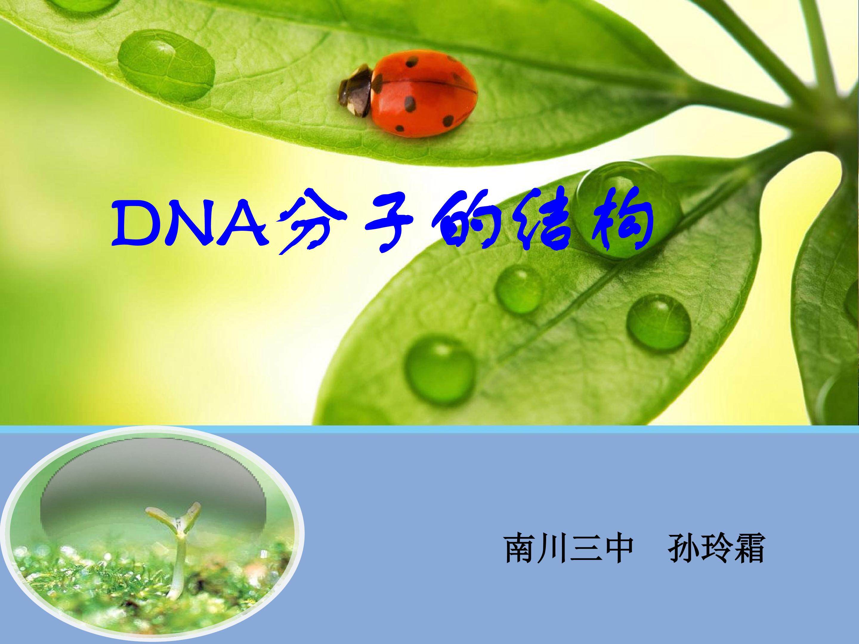 DNA分子的结构