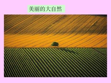 敬畏自然_课件1