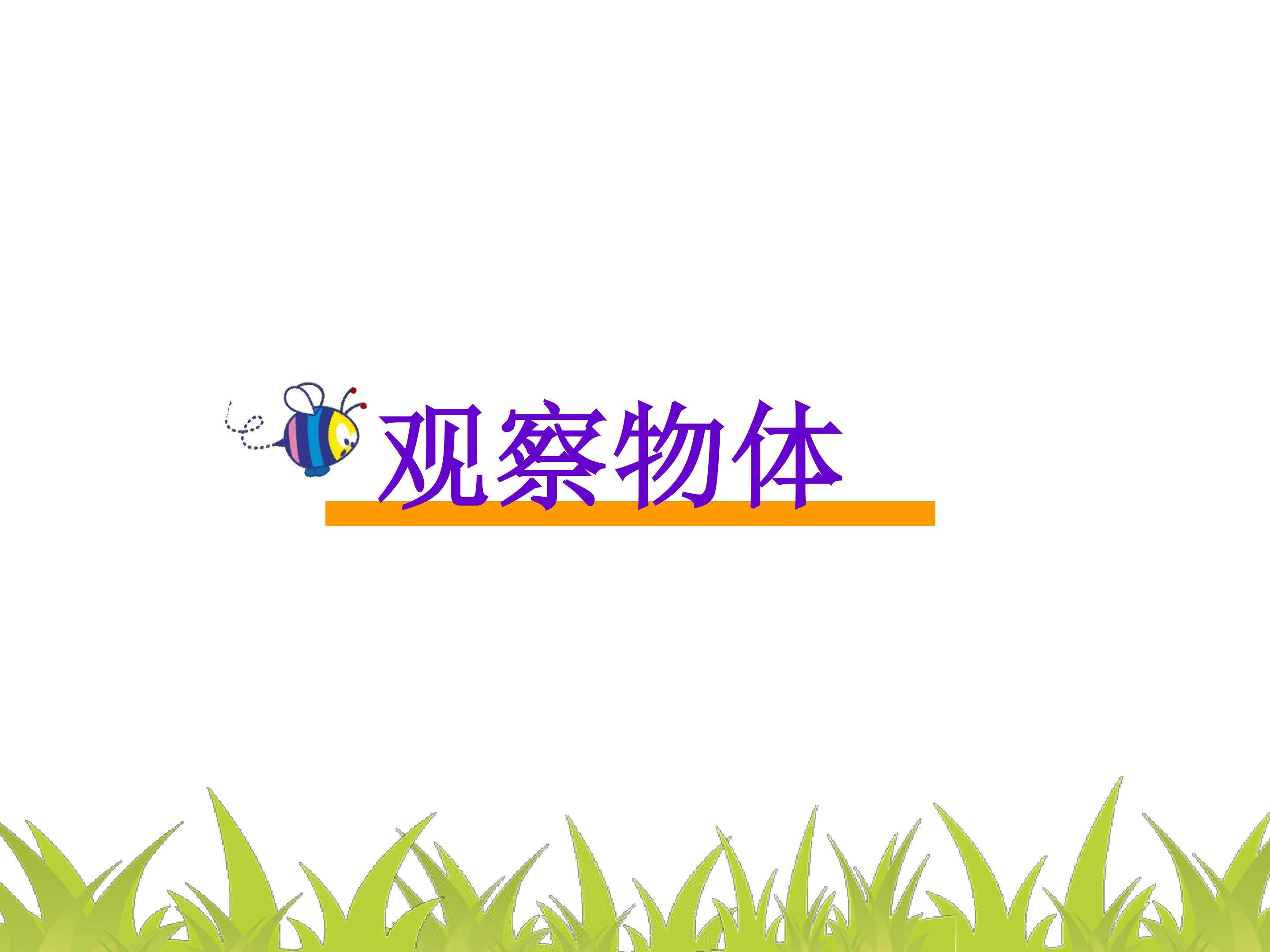 《观察物体》