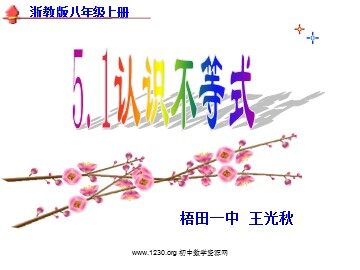 浙教版认识一元一次不等式