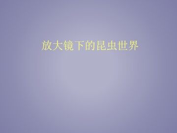 放大镜下的昆虫世界_课件1