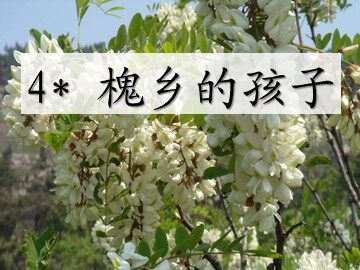4_ 槐乡的孩子