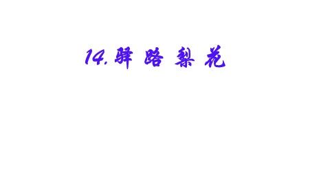 14  驿路梨花