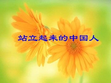 １ 站立起来的中国人
