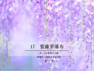 紫藤萝瀑布