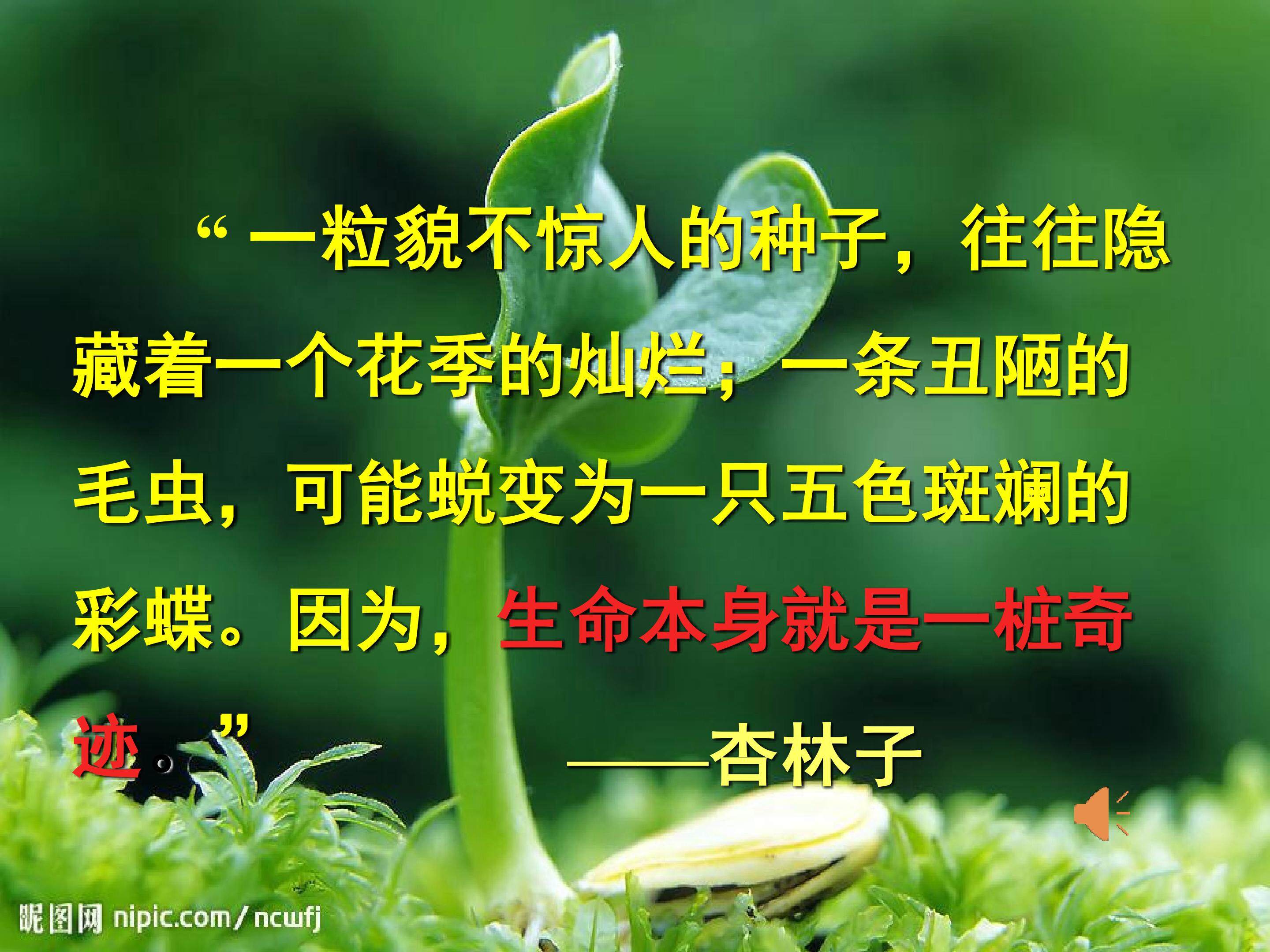 生命生命1