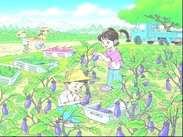 3 菜园里