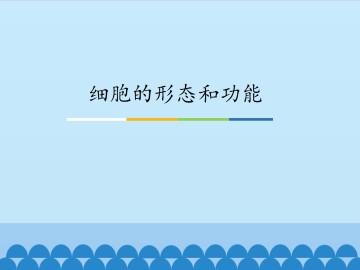 细胞的形态和功能_课件1