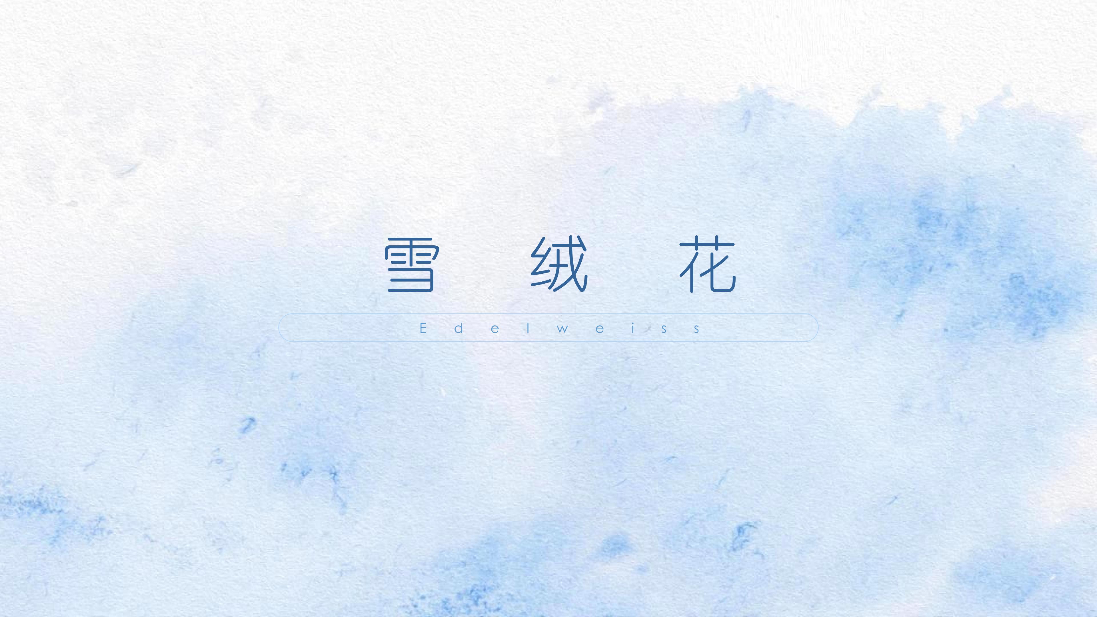 《雪绒花》